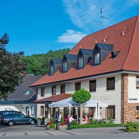 Hotel Gasthof Zum Roessle ألتينشتاد المظهر الخارجي الصورة