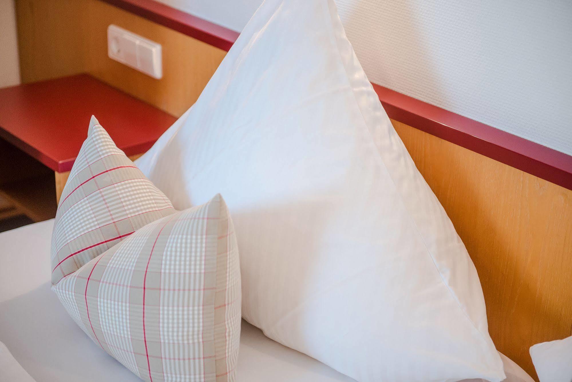 Hotel Gasthof Zum Roessle ألتينشتاد المظهر الخارجي الصورة